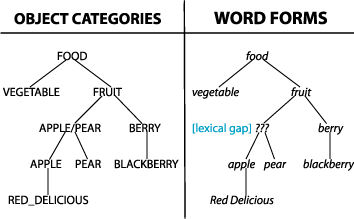 apple taxonomy 2